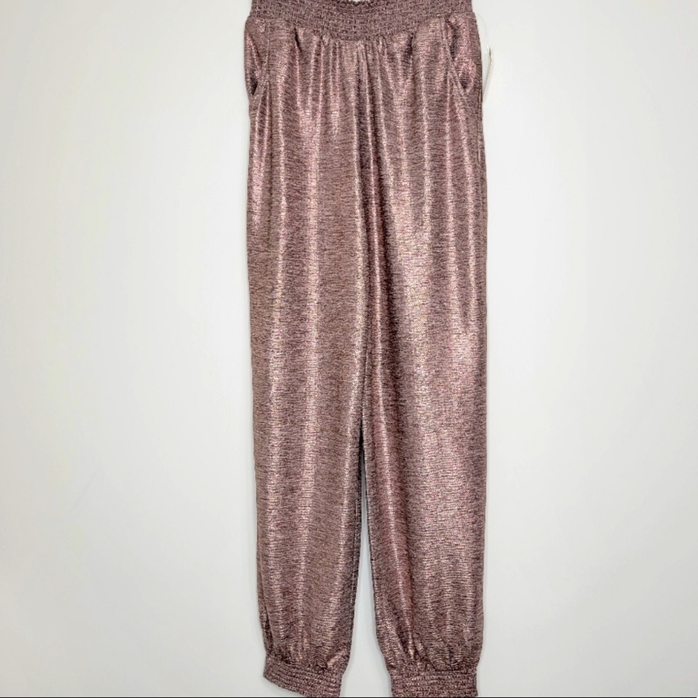Anthropology Sparkle Bohemian Joggers Size Medium